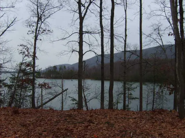 Lot 20 Waterside Channel Dr, Goodview, VA 24095 - #2