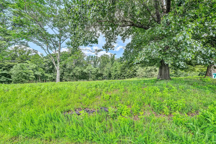 Lot 7 River Rock Rd, Vinton, VA 24179 - #3