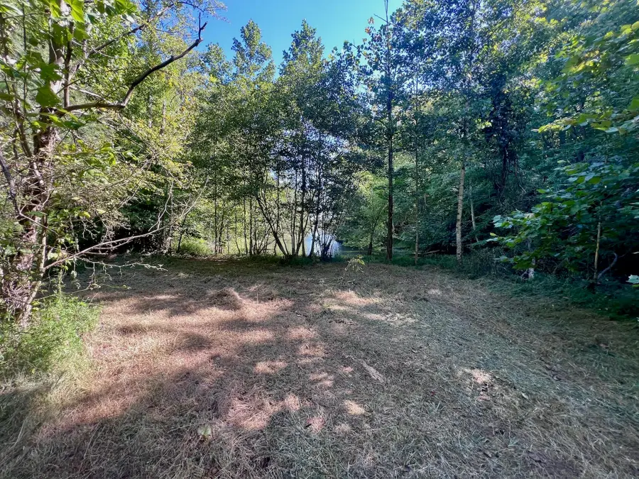 0 Brights Rd, Pittsville, VA 24139 - #3