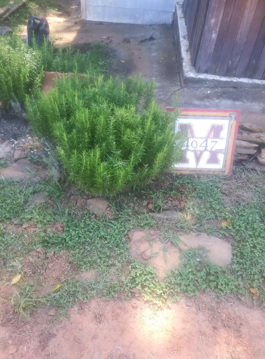 4947 Stones Dairy Rd, Bassett, VA 24055 - #3