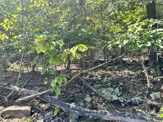 Lot 23 Summit Dr, Rocky Mount, VA 24151 - #3