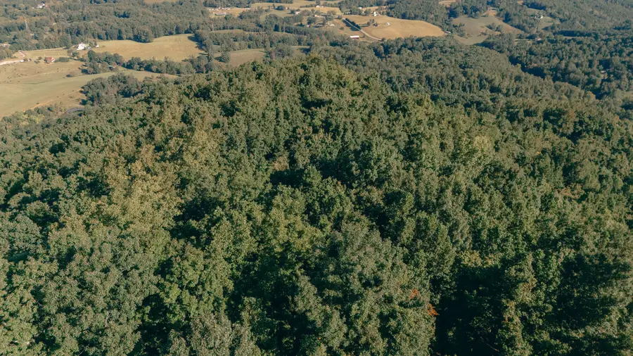 0 Nemmo Rd, Vinton, VA 24179 - #3