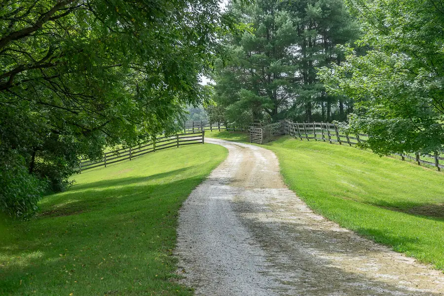 9195 Springwood Rd, Buchanan, VA 24066 - #2