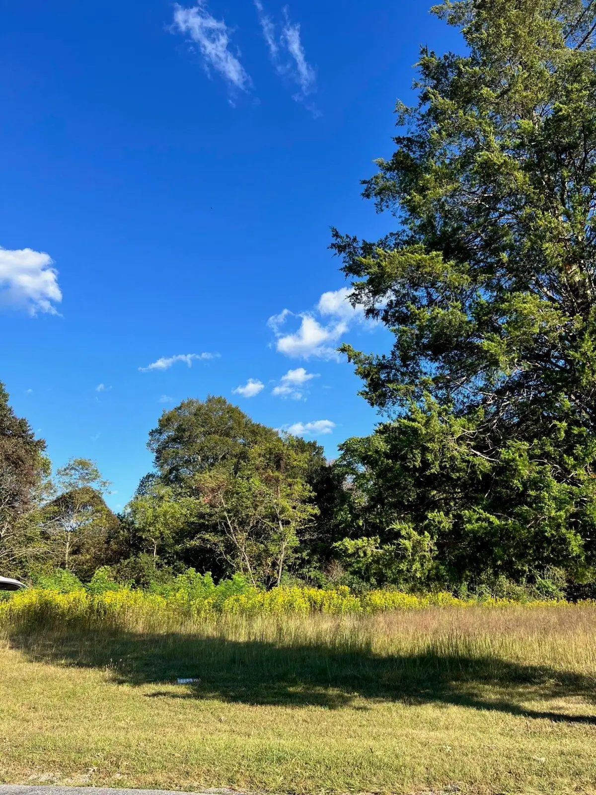 0 Pike Rd, Montvale, VA 24122 - #1