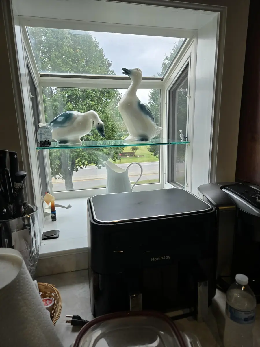 8146 Williamson Rd, Roanoke, VA 24019 - #2