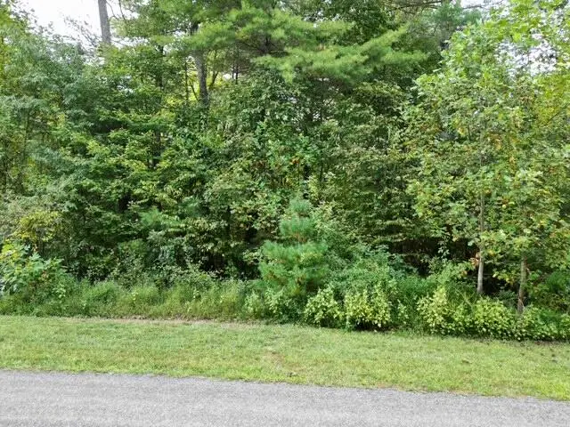 00 Laurel Run Dr, Callaway, VA 24067 - #2