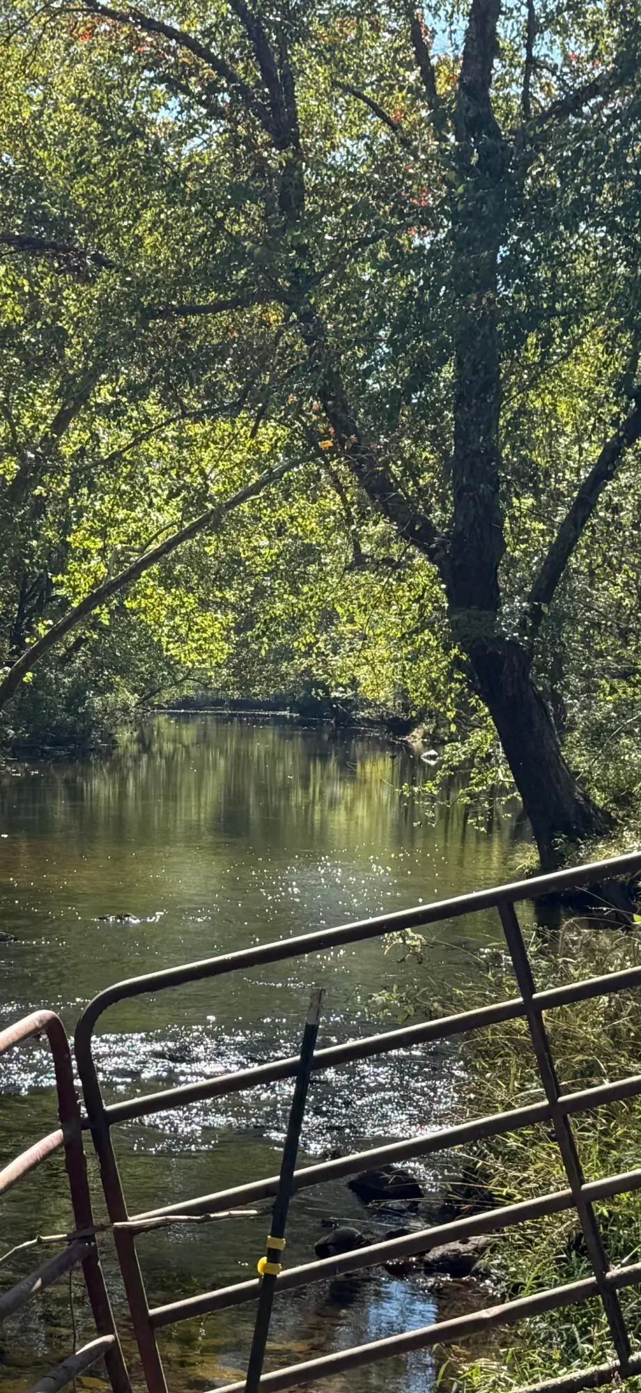 6402 Potts Creek Rd, Covington, VA 24426 - #1