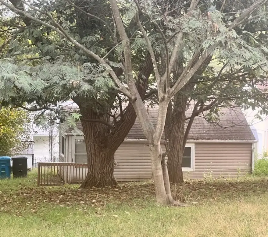 1810 Padbury Ave Se, Roanoke, VA 24014 - #1