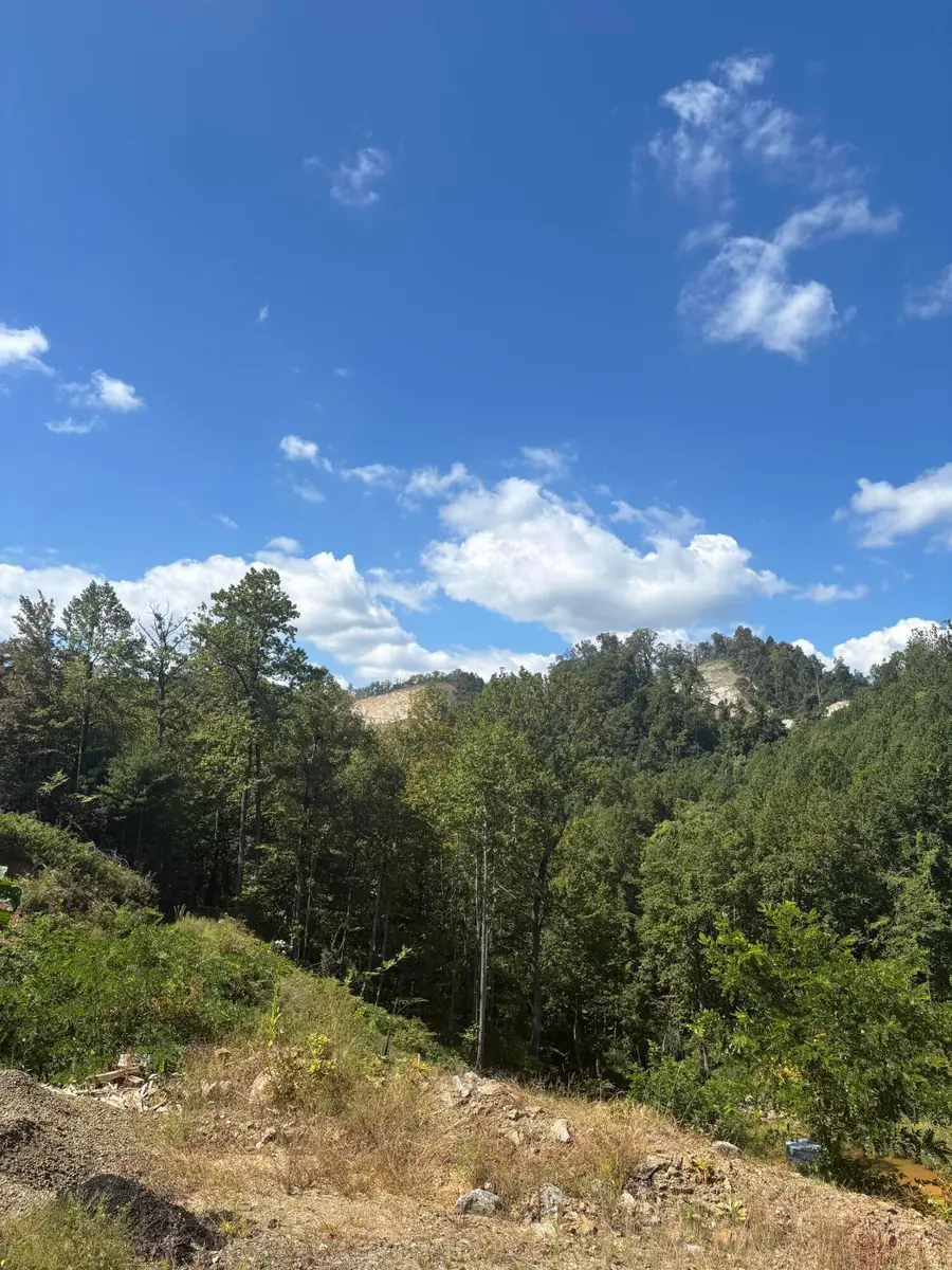 0 Jeb Stuart Hwy, Meadows Of Dan, VA 24120 - #3