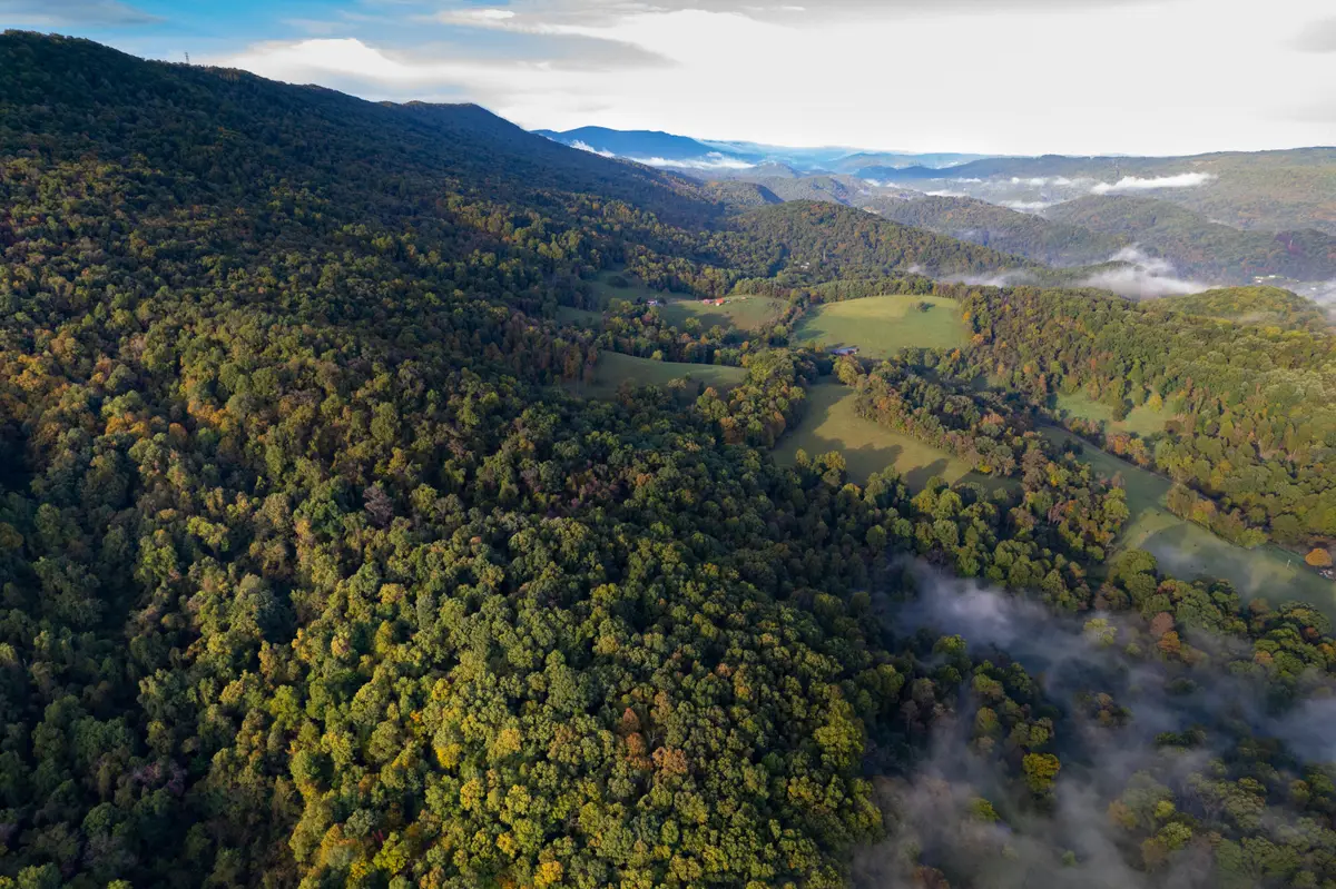 0 Robertson Mountain Rd, Narrows, VA 24124 - #1