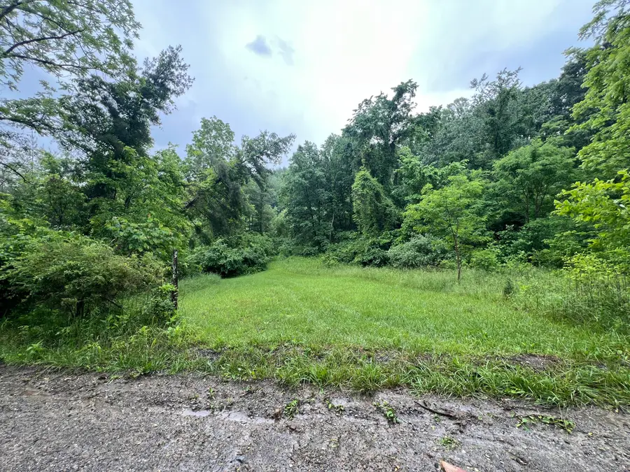 0 Robertson Mountain Rd, Narrows, VA 24124 - #3