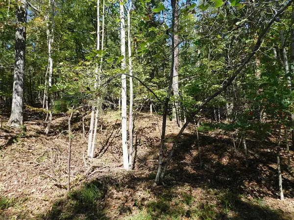 Lot 24 Cedar Bluff Ln, Hardy, VA 24101