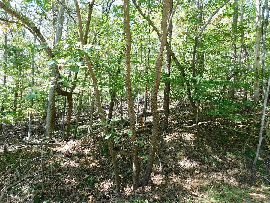 Lot 24 Cedar Bluff Ln, Hardy, VA 24101 - #2