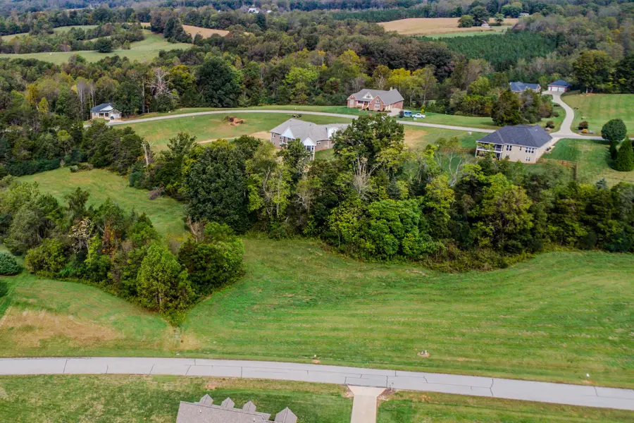 Lot 38 Halsey Ct, Wirtz, VA 24184 - #2