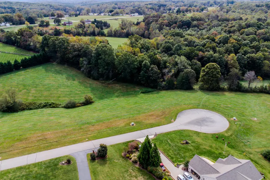 Lot 45 Halsey Ct, Wirtz, VA 24184 - #2