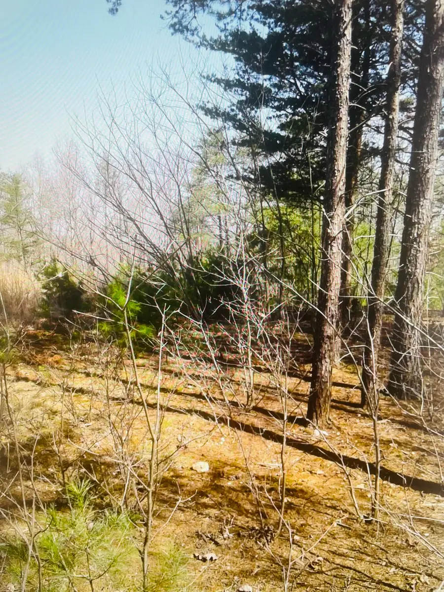 Lot 27 Garrison Ridge, Pittsville, VA 24139 - #3
