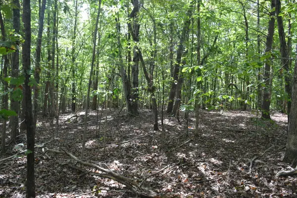 0 Sun Dance Dr, Lynchburg, VA 24504