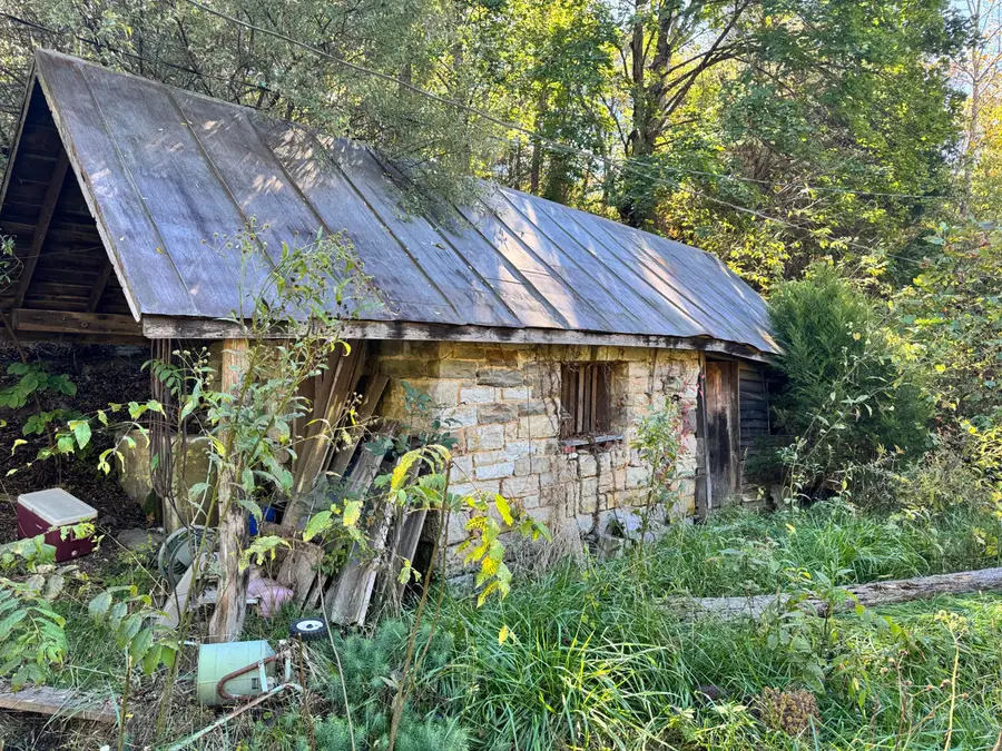 2836 Buffalo Rd, Buchanan, VA 24066 - #3