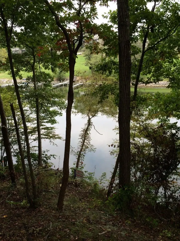 Lot 63 Waterworld Pointe, Goodview, VA 24095 - #1