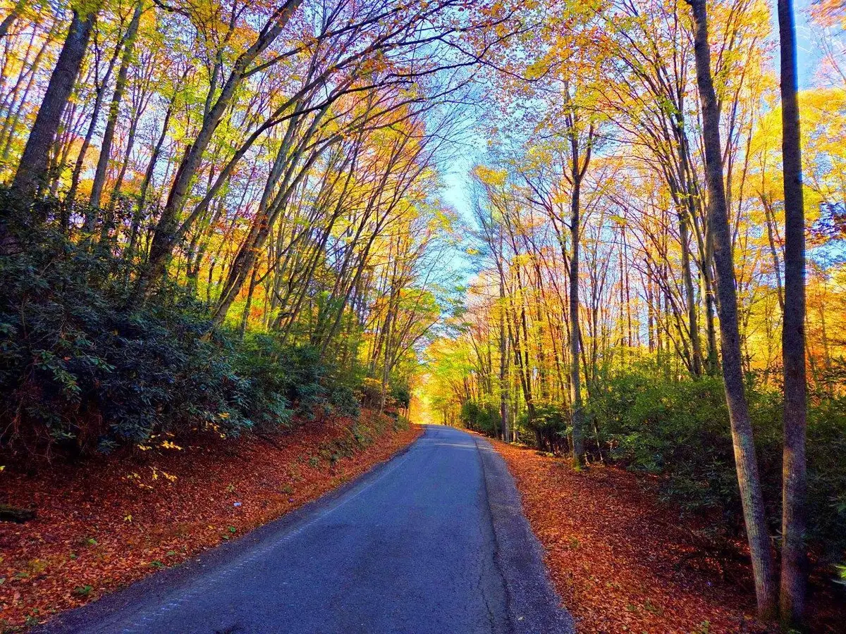 0 Old Pluto Rd, Shady Spring, WV 25918 - #1