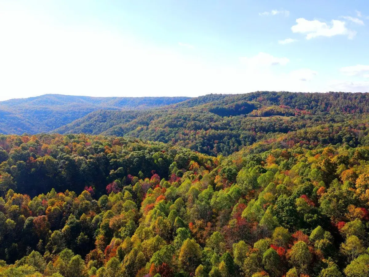 0 Backus Mountain Rd, Meadow Bridge, WV 25976 - #1
