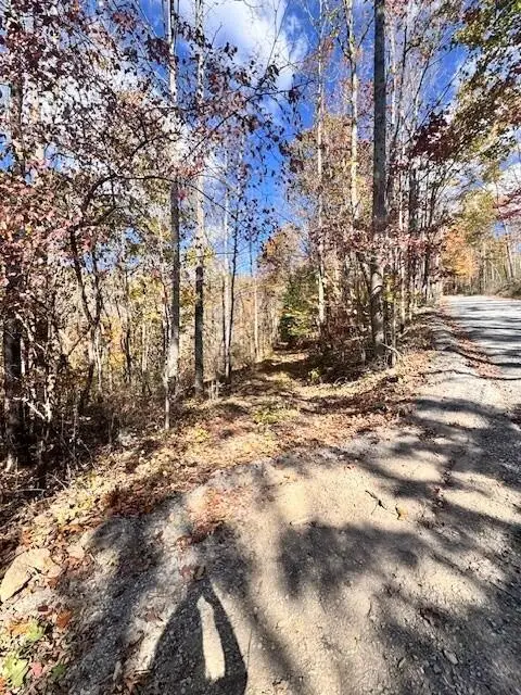 0 Hendrickson Rd, Pembroke, VA 24136 - #3