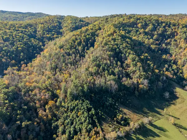 TBD Lick Ridge Road, Check, VA 24072