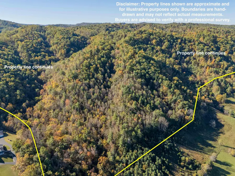 TBD Lick Ridge Road, Check, VA 24072 - #2