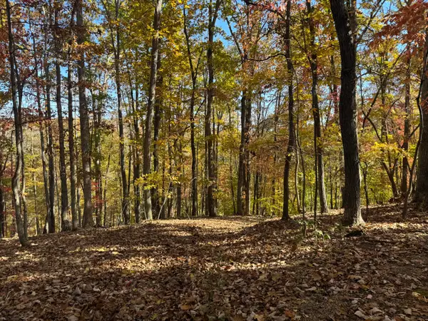 Lot2 Snidow Dr, Goodview, VA 24095