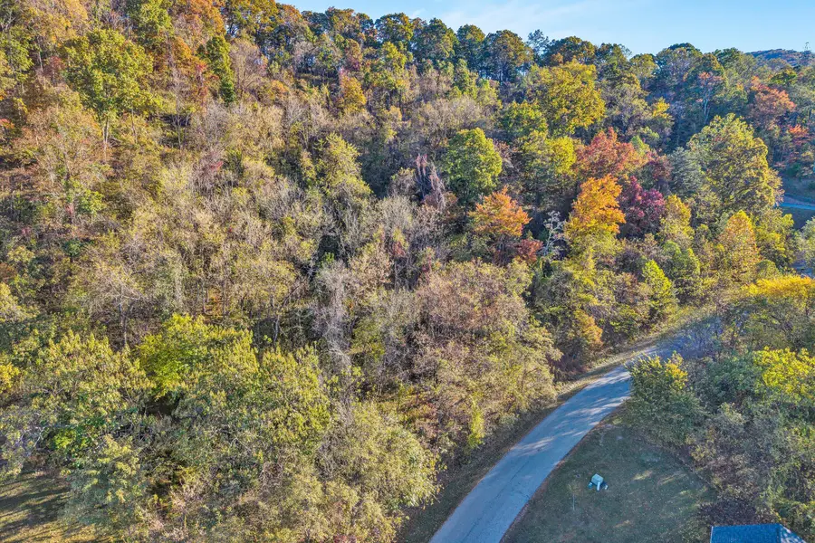 4426 Toddsbury Dr, Vinton, VA 24179 - #3