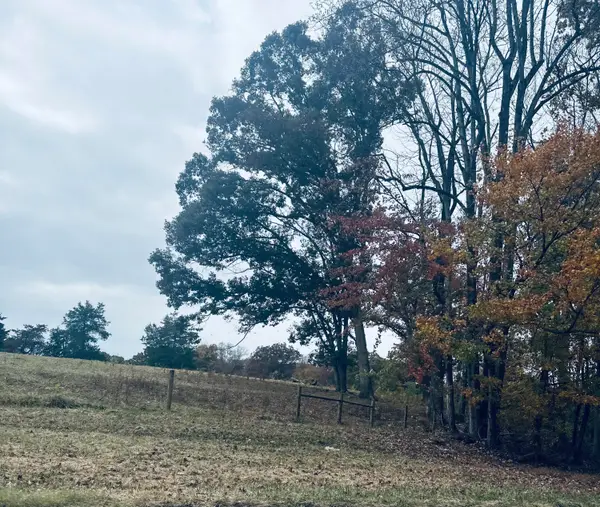 0 Scruggs Rd, Moneta, VA 24121