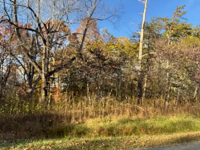 Lot 16 Walnut Run Dr, Hardy, VA 24101 - #3