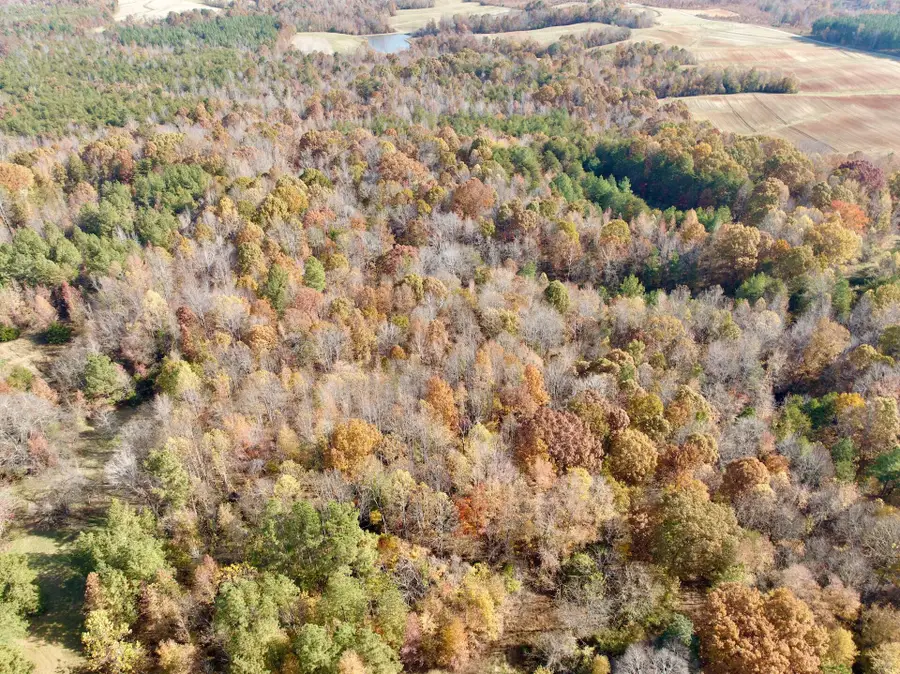 0 Slatesville Rd, Keeling, VA 24566 - #2