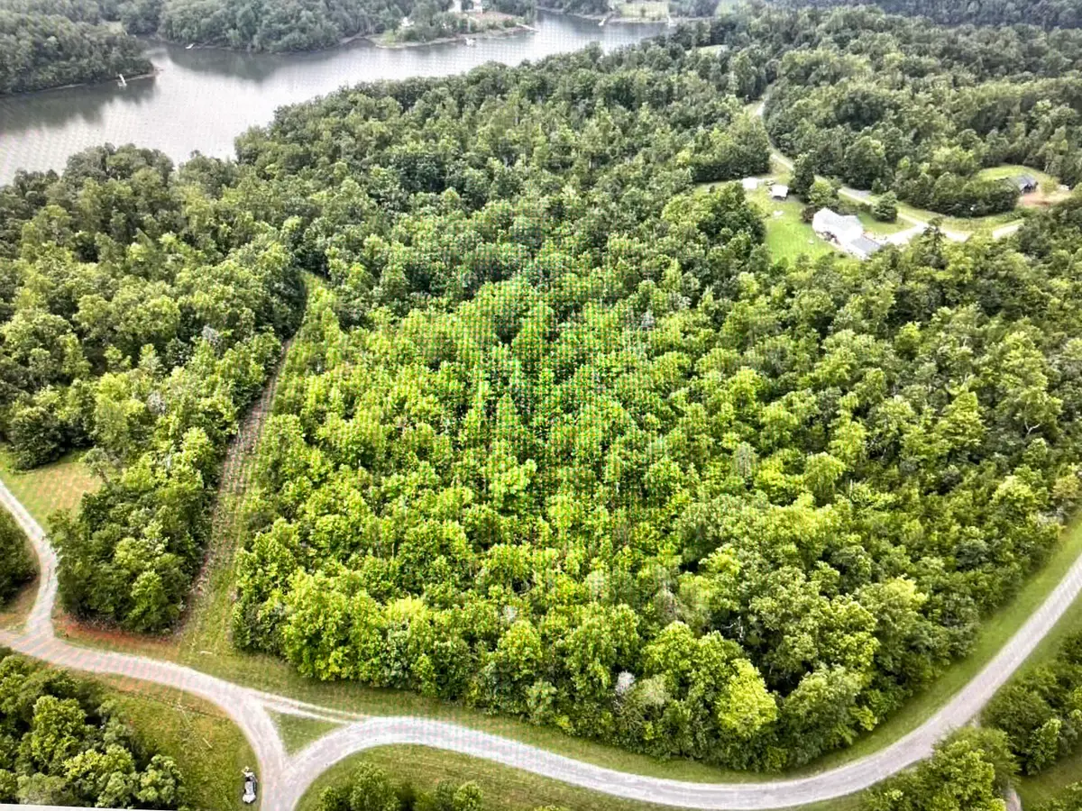 Lot 5 Reservoir View Dr, Pittsville, VA 24139 - #1