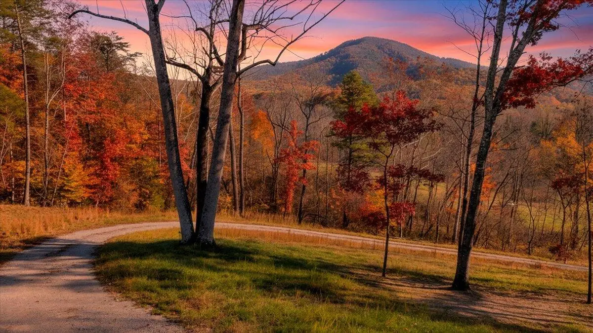 6742 Dawnwood Rd, Roanoke, VA 24018 - #1