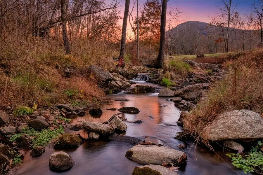 6742 Dawnwood Rd, Roanoke, VA 24018 - #3