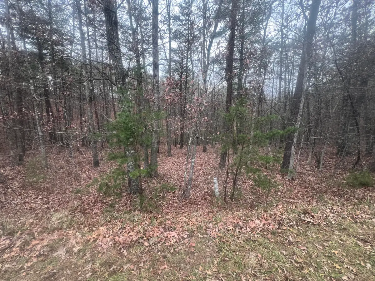 2851 Lindsay Dr, Elliston, VA 24087 - #1