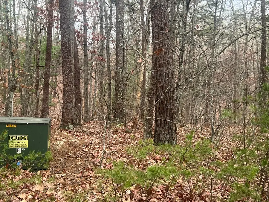 2851 Lindsay Dr, Elliston, VA 24087 - #2