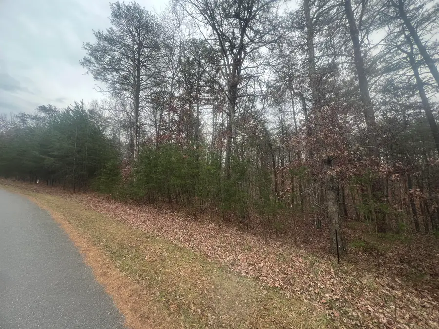 2851 Lindsay Dr, Elliston, VA 24087 - #3