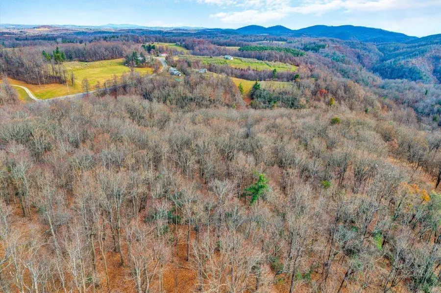 15885 Woolvine Hwy, Floyd, VA 24091 - #3