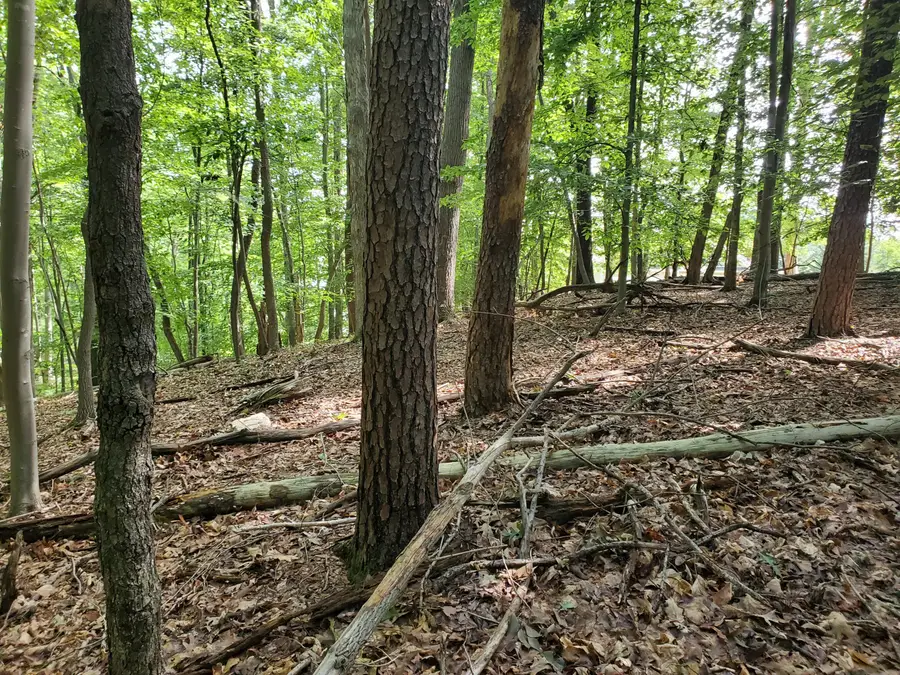 Lot 120 Park Way Ave, Moneta, VA 24121 - #3