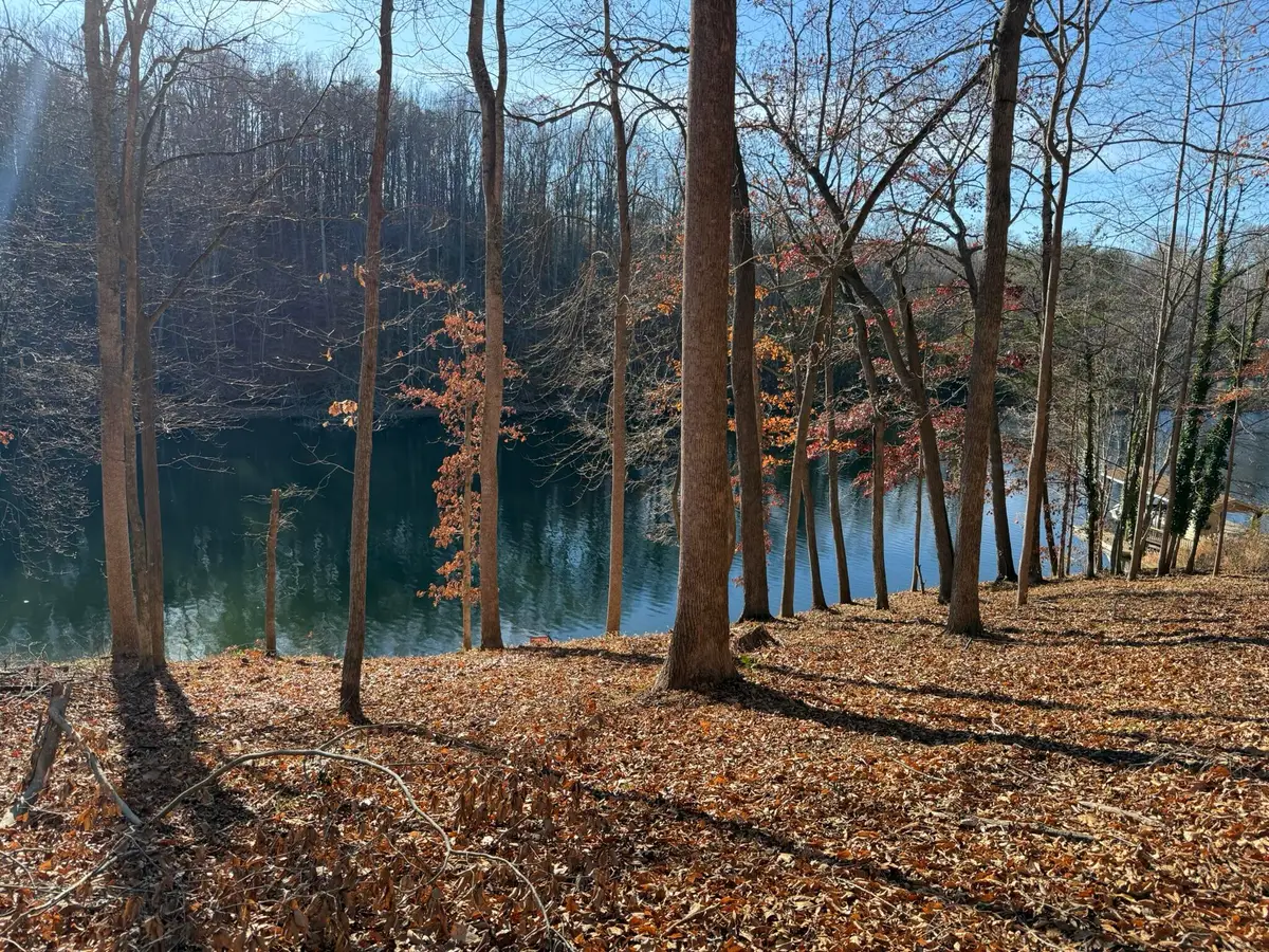 Lot 3 Aspen Way, Moneta, VA 24121 - #1