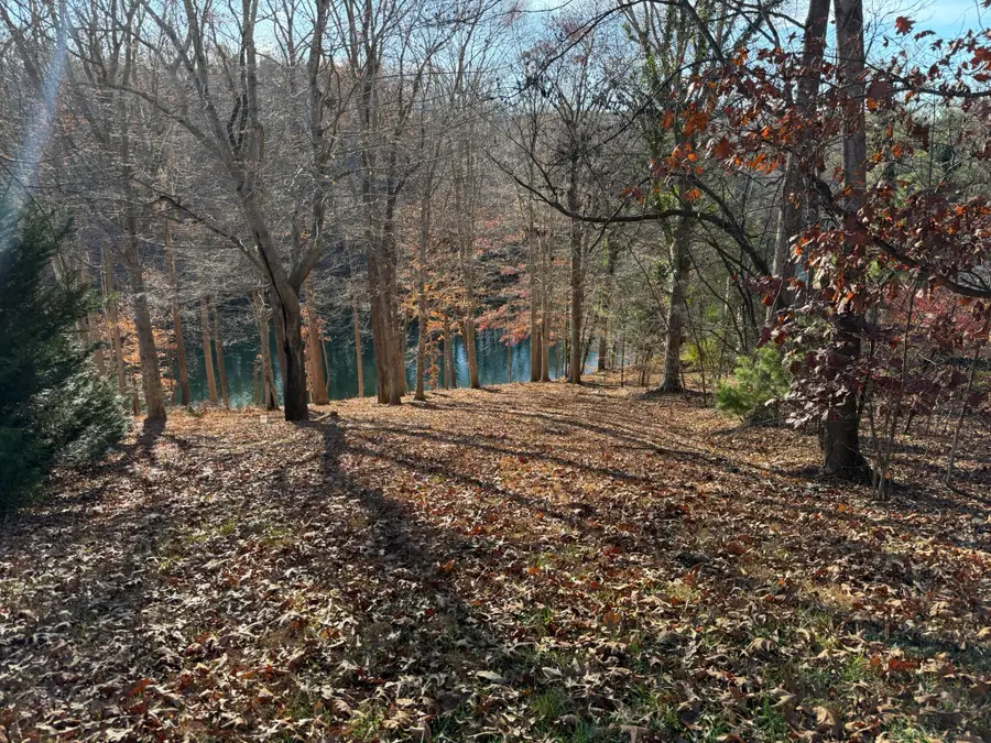 Lot 3 Aspen Way, Moneta, VA 24121 - #3