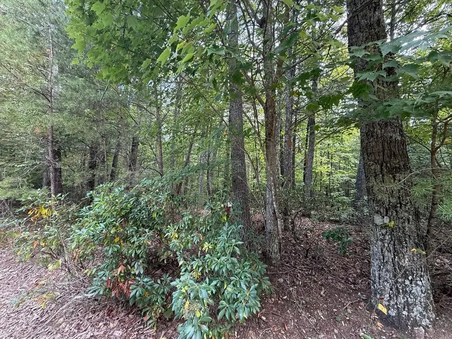 0 Marks Path, Henry, VA 24102 - #3