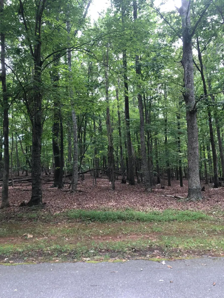 Lot 232 Lake Front Cir, Penhook, VA 24137 - #2