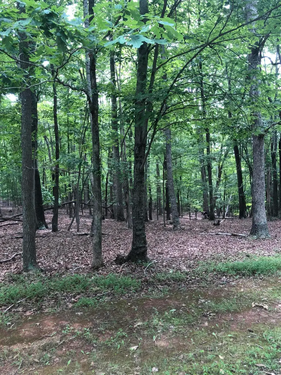 Lot 232 Lake Front Cir, Penhook, VA 24137 - #3