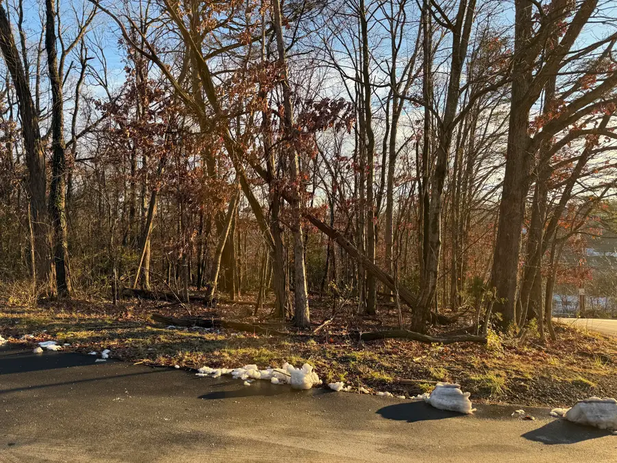 0 Panorama Ave Nw, Roanoke, VA 24017 - #2