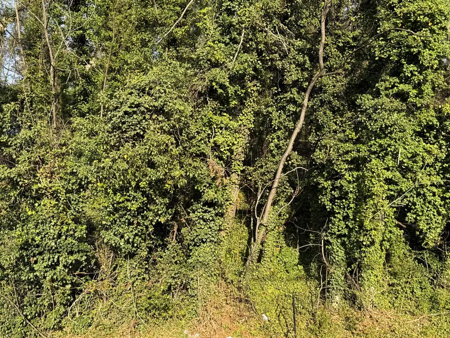 721 Moorman Ave Nw, Roanoke, VA 24016 - #3