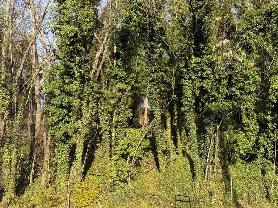 741 Moorman Ave Nw, Roanoke, VA 24016 - #3