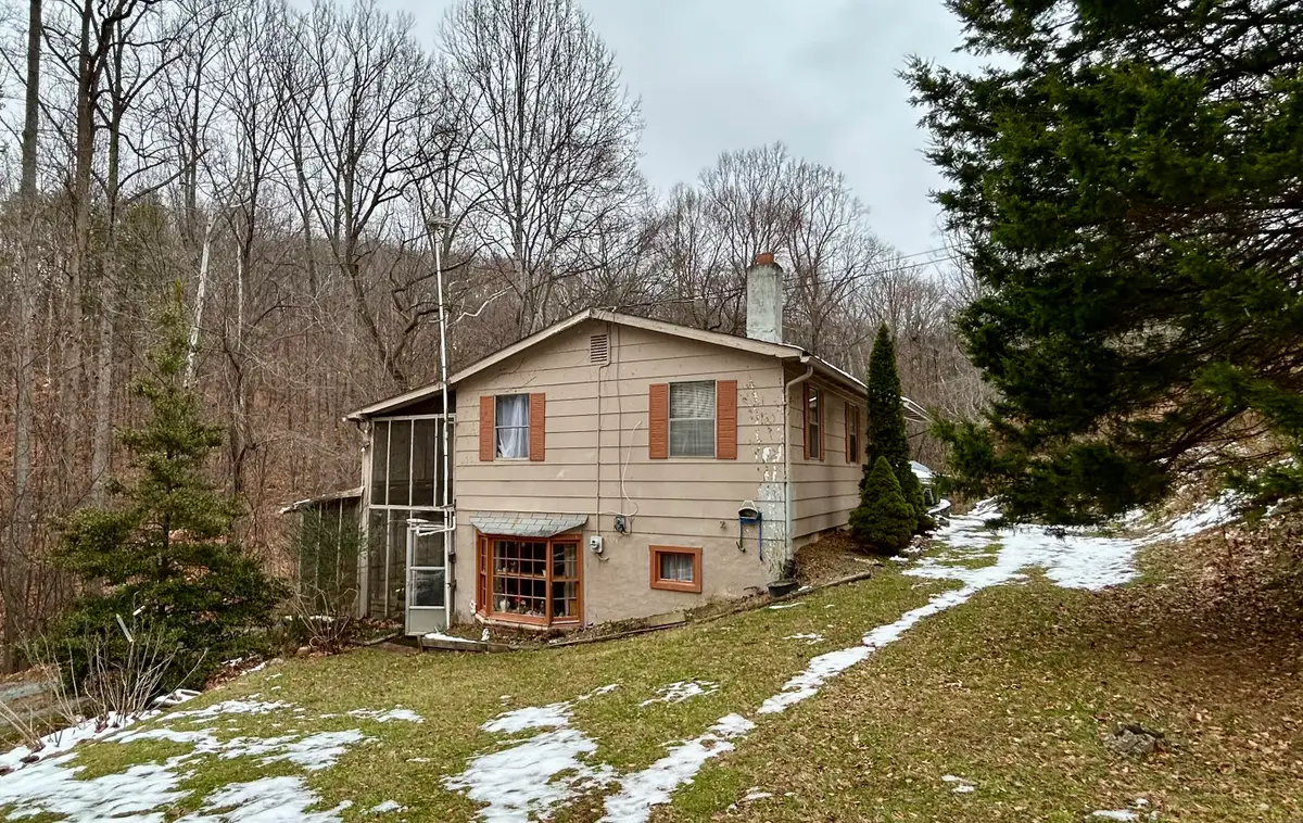 308 Spring Hollow Rd, Troutville, VA 24175 - #1